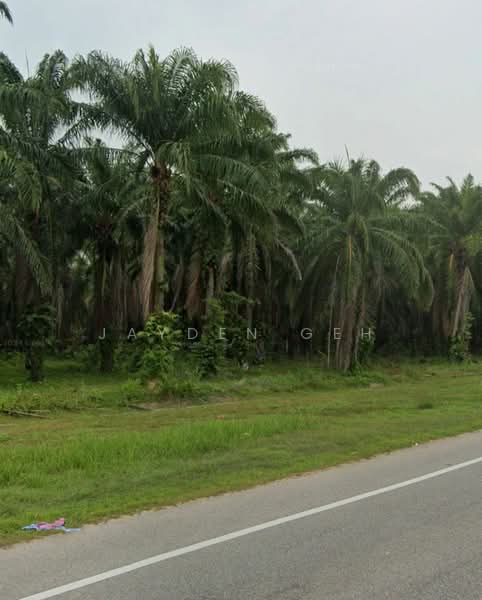 Tanah Pertanian untuk Dijual di Pokok Sena (Kedah) - Jayden Geh - PropertyGuru.com.my