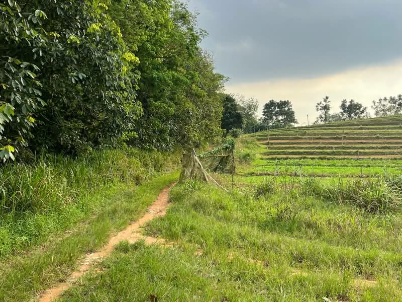 Tanah Pertanian untuk Dijual di Kempas (Johor Bahru) - Lawrence Tan - PropertyGuru.com.my