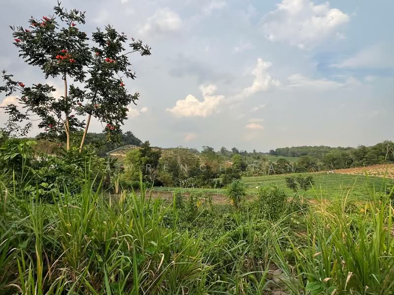 Tanah Pertanian untuk Dijual di Kempas (Johor Bahru) - Lawrence Tan - PropertyGuru.com.my