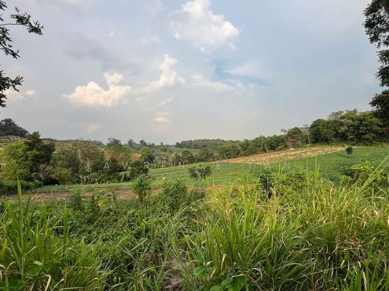 Tanah Pertanian untuk Dijual di Kempas (Johor Bahru) - Lawrence Tan - PropertyGuru.com.my