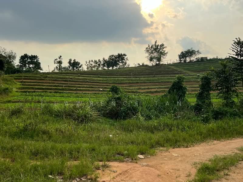 Tanah Pertanian untuk Dijual di Kempas (Johor Bahru) - Lawrence Tan - PropertyGuru.com.my