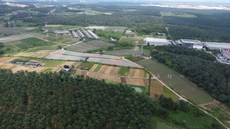 Tanah Pertanian untuk Dijual di Kempas (Johor Bahru) - Lawrence Tan - PropertyGuru.com.my