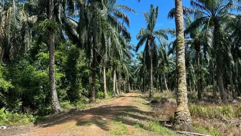 Agricultural Land for Sale in Pelabuhan Tanjung Pelepas (Gelang Patah) - Lawrence Tan - PropertyGuru.com.my