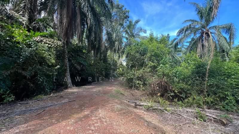 Agricultural Land for Sale in Pelabuhan Tanjung Pelepas (Gelang Patah) - Lawrence Tan - PropertyGuru.com.my