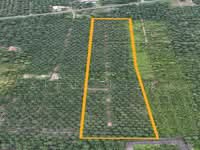 For Sale - Simpang Renggam