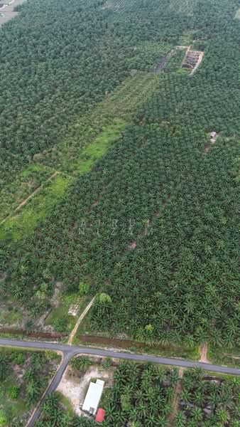 Agricultural Land for Sale in Simpang Renggam (Johor) - AIRUL NIZAM - Exterior - PropertyGuru.com.my