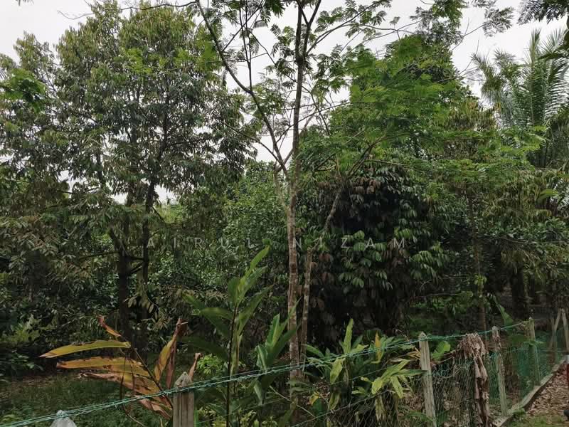 Agricultural Land for Sale in Simpang Renggam (Johor) - AIRUL NIZAM - Garden - PropertyGuru.com.my