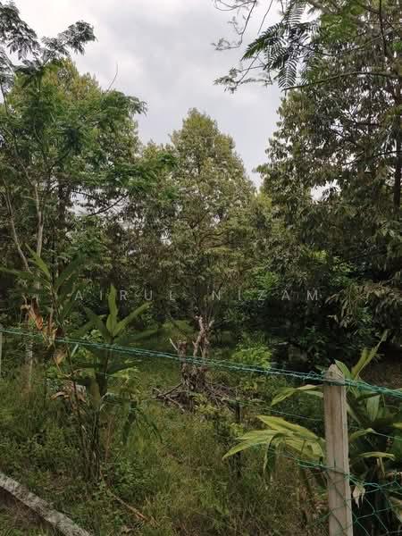 Agricultural Land for Sale in Simpang Renggam (Johor) - AIRUL NIZAM - Garden - PropertyGuru.com.my
