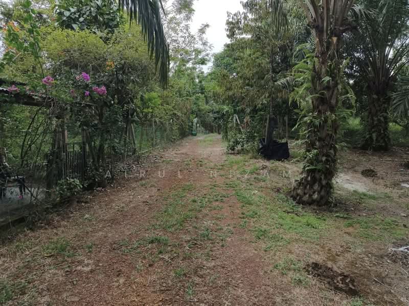 Agricultural Land for Sale in Simpang Renggam (Johor) - AIRUL NIZAM - Garden - PropertyGuru.com.my