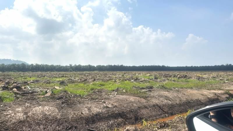 Tanah Perindustrian untuk Dijual di Pulau Carey (Carey Island) (Selangor) - Y.L. Yong - Exterior - PropertyGuru.com.my
