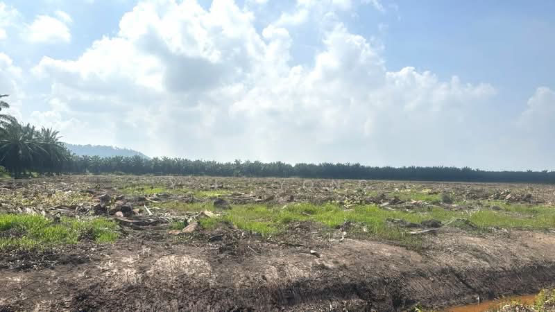 Tanah Perindustrian untuk Dijual di Pulau Carey (Carey Island) (Selangor) - Y.L. Yong - Exterior - PropertyGuru.com.my