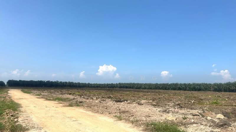 Tanah Perindustrian untuk Dijual di Pulau Carey (Carey Island) (Selangor) - Y.L. Yong - Exterior - PropertyGuru.com.my