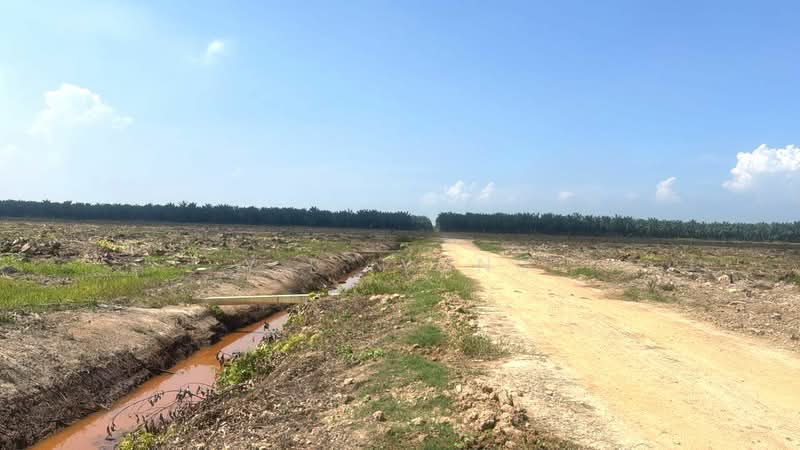 Tanah Perindustrian untuk Dijual di Pulau Carey (Carey Island) (Selangor) - Y.L. Yong - Exterior - PropertyGuru.com.my
