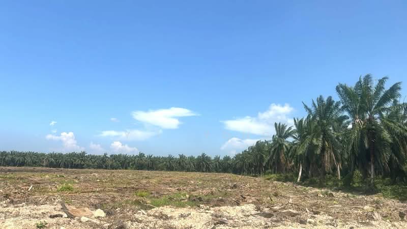 Tanah Perindustrian untuk Dijual di Pulau Carey (Carey Island) (Selangor) - Y.L. Yong - Exterior - PropertyGuru.com.my