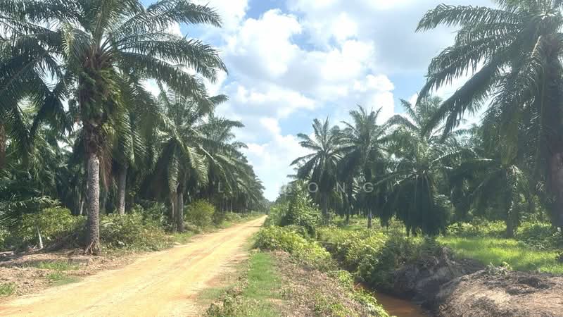 Tanah Perindustrian untuk Dijual di Pulau Carey (Carey Island) (Selangor) - Y.L. Yong - Exterior - PropertyGuru.com.my