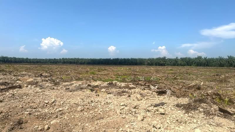 Tanah Perindustrian untuk Dijual di Pulau Carey (Carey Island) (Selangor) - Y.L. Yong - Exterior - PropertyGuru.com.my