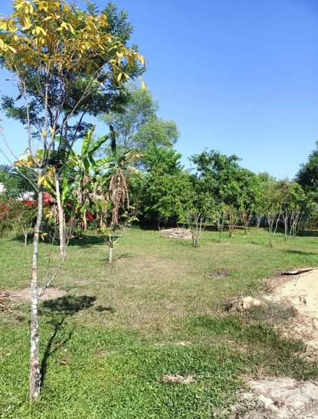 For Sale - Ipoh Country Park