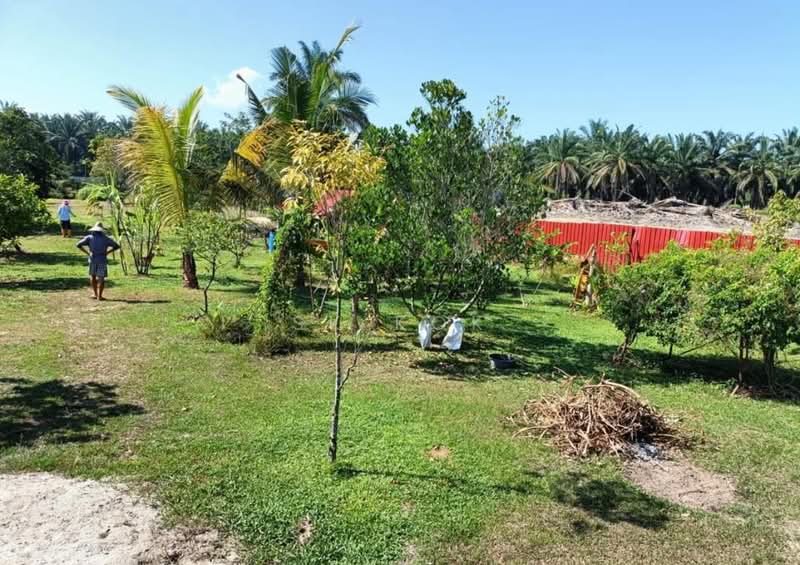 For Sale - Ipoh Country Park