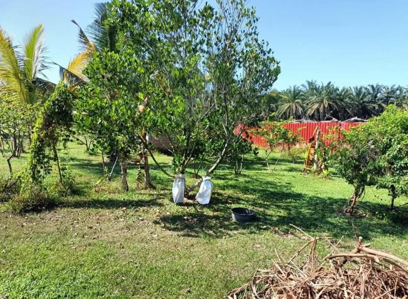 For Sale - Ipoh Country Park