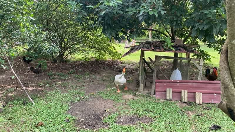 Agricultural Land for Sale in Gopeng (Perak) - SK Kok - Exterior - PropertyGuru.com.my