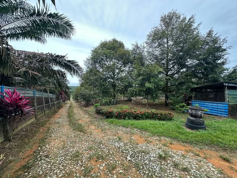 Tanah Pertanian untuk Dijual di Taman Scientex Kulai (Sedenak) - Kelvin Koay - Exterior - PropertyGuru.com.my