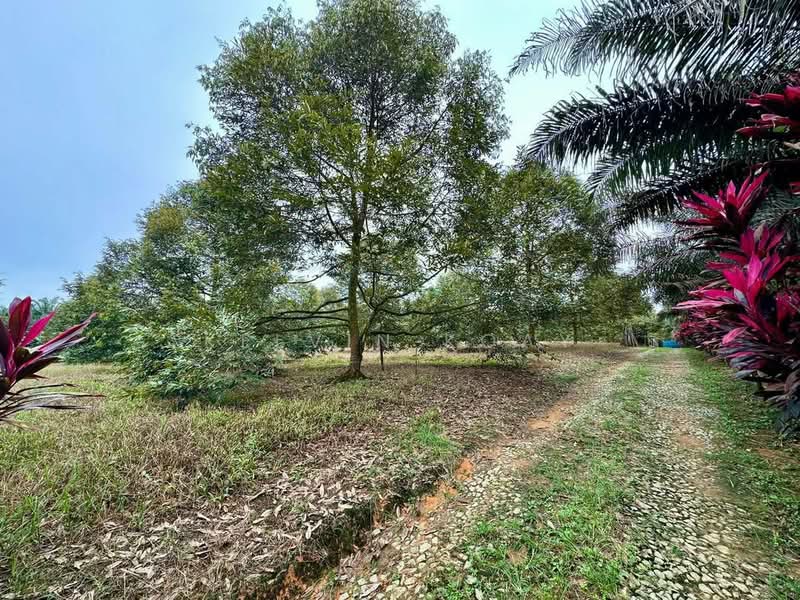 Tanah Pertanian untuk Dijual di Taman Scientex Kulai (Sedenak) - Kelvin Koay - Exterior - PropertyGuru.com.my