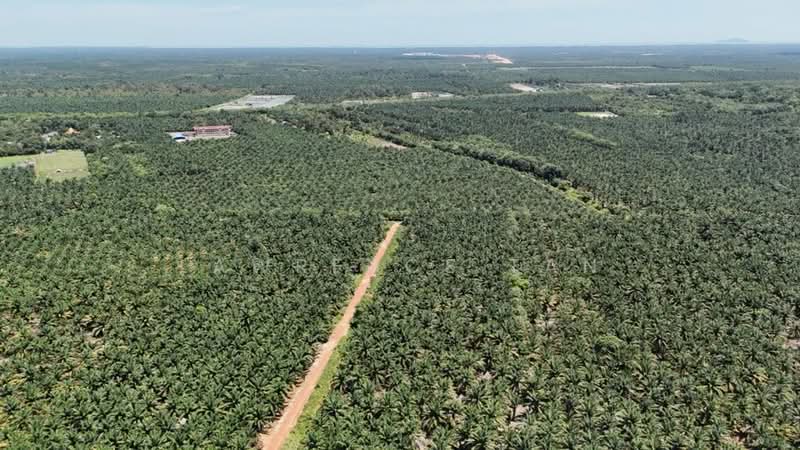 Agricultural Land for Sale in Kampung Pendas (Gelang Patah) - Lawrence Tan - Exterior - PropertyGuru.com.my
