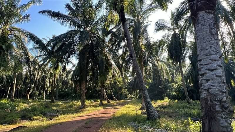 Agricultural Land for Sale in Kampung Pendas (Gelang Patah) - Lawrence Tan - Exterior - PropertyGuru.com.my