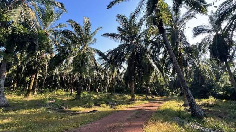 Agricultural Land for Sale in Kampung Pendas (Gelang Patah) - Lawrence Tan - PropertyGuru.com.my