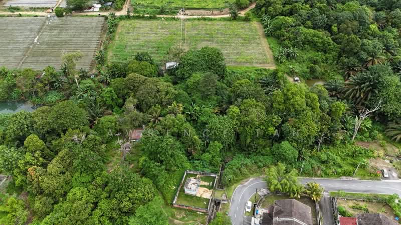 Agricultural Land for Sale in Kulai (Johor) - Lawrence Tan - Exterior - PropertyGuru.com.my