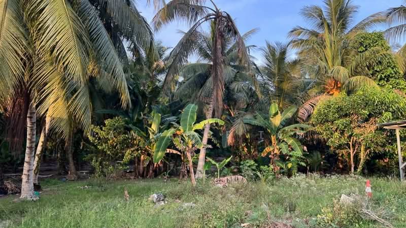 Tanah Pertanian untuk Dijual di Pekan Nanas (Johor) - Lawrence Tan - PropertyGuru.com.my