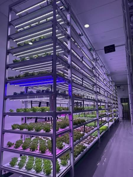 Kilang untuk Dijual di Iskandar Puteri (Nusajaya) (Johor) - Eunice Koh - Interior - PropertyGuru.com.my