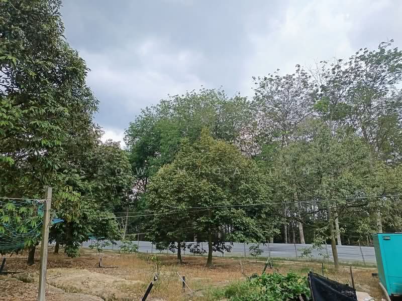 Agricultural Land for Sale in Ayer Hitam (Johor) - Seowamiga Ten - Exterior - PropertyGuru.com.my