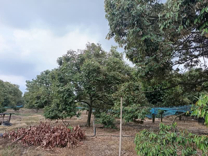 Agricultural Land for Sale in Ayer Hitam (Johor) - Seowamiga Ten - Exterior - PropertyGuru.com.my
