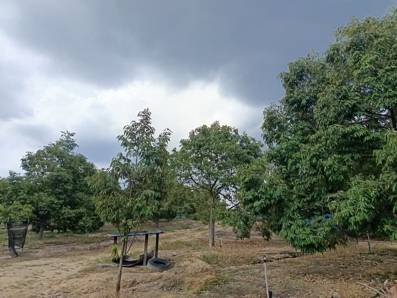 Agricultural Land for Sale in Ayer Hitam (Johor) - Seowamiga Ten - Exterior - PropertyGuru.com.my