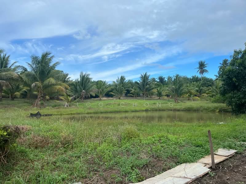 Tanah Pertanian untuk Dijual di Kota Tinggi (Johor) - Nico Chong - Garden - PropertyGuru.com.my