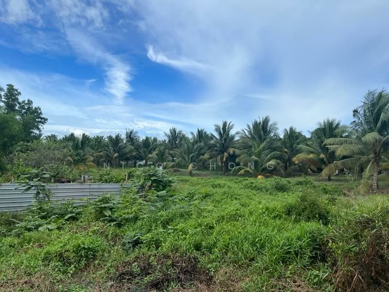 Tanah Pertanian untuk Dijual di Kota Tinggi (Johor) - Nico Chong - Exterior - PropertyGuru.com.my