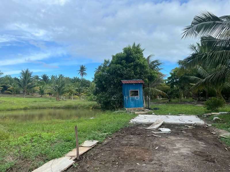 Tanah Pertanian untuk Dijual di Kota Tinggi (Johor) - Nico Chong - Exterior - PropertyGuru.com.my