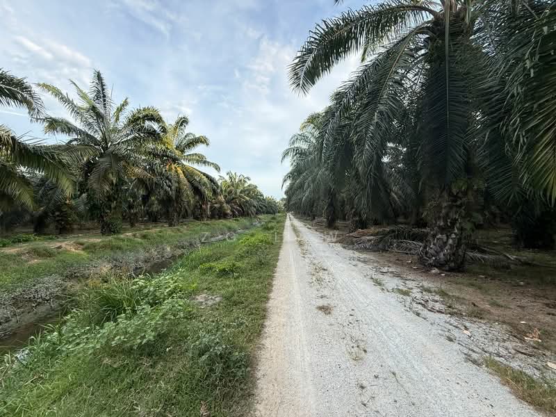 Industrial Land for Sale in Parit Bilal (Batu Pahat) - ZG Law - Exterior - PropertyGuru.com.my