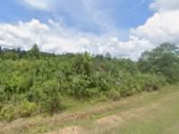 For Sale - jalan mersing