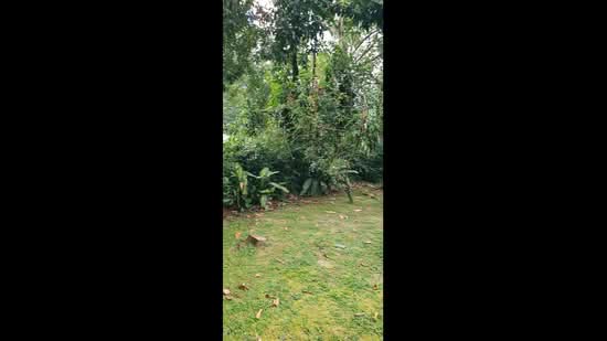 Bungalow for Sale in Seksyen 5 (Petaling Jaya) - Thian Lim Lim - PropertyGuru.com.my