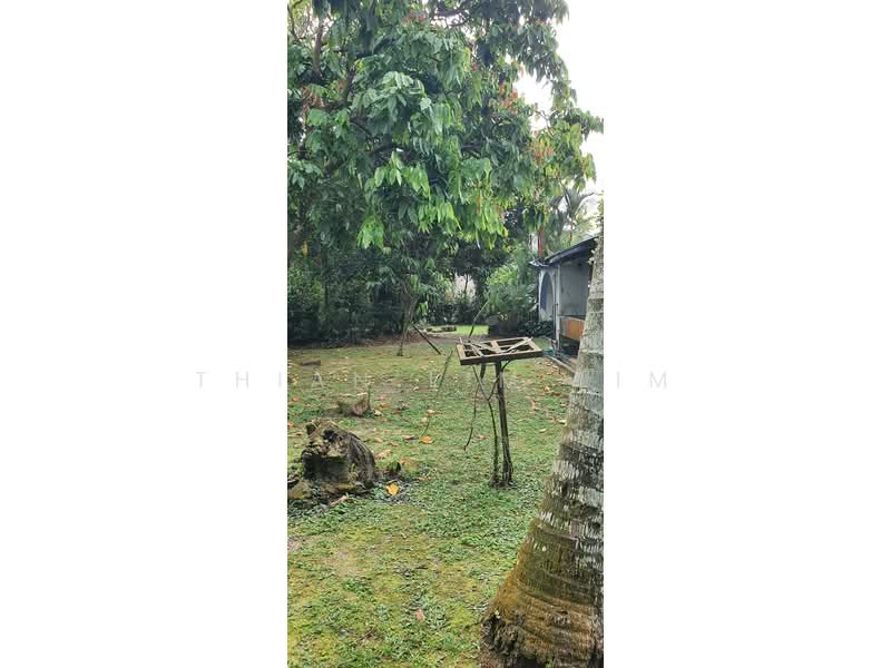 Bungalow for Sale in Seksyen 5 (Petaling Jaya) - Thian Lim Lim - Garden - PropertyGuru.com.my