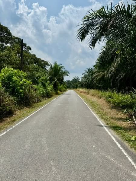 Tanah Pertanian untuk Dijual di Pontian (Johor) - Eva Siow - Exterior - PropertyGuru.com.my