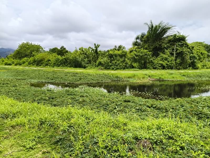 Tanah Pertanian untuk Dijual di Balik Pulau (Penang) - Kai Meng Liew - Exterior - PropertyGuru.com.my