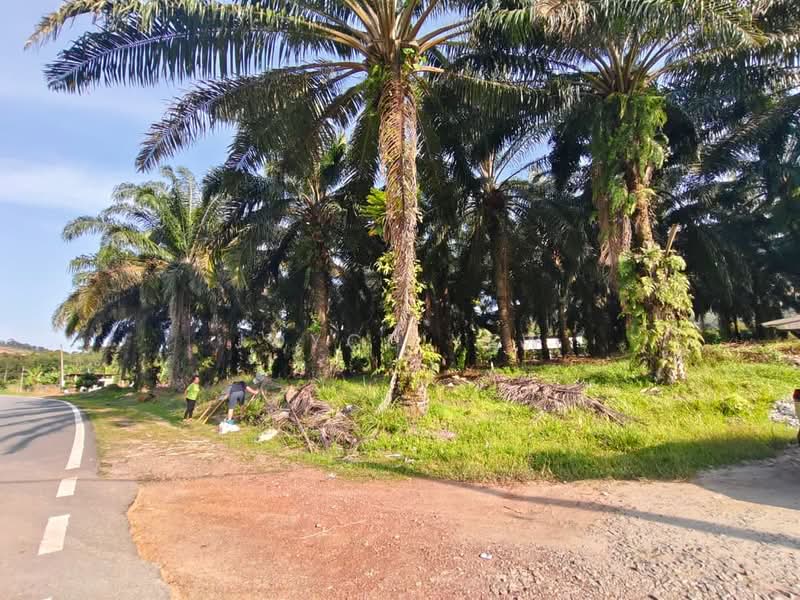 Agricultural Land for Sale in Pertang (Negeri Sembilan) - Joyce Yew - Exterior - PropertyGuru.com.my