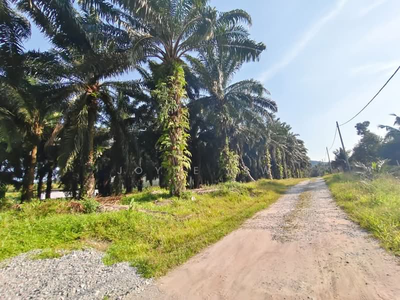 Agricultural Land for Sale in Pertang (Negeri Sembilan) - Joyce Yew - Exterior - PropertyGuru.com.my