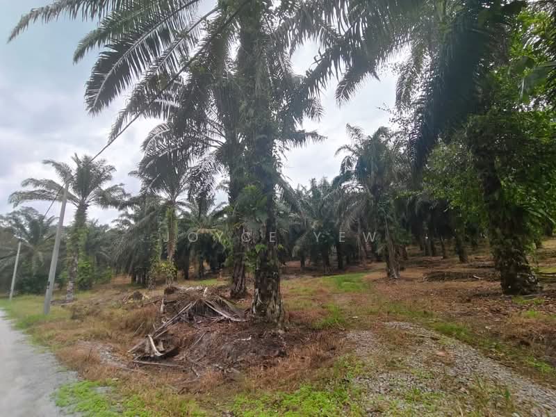 Agricultural Land for Sale in Pertang (Negeri Sembilan) - Joyce Yew - Exterior - PropertyGuru.com.my