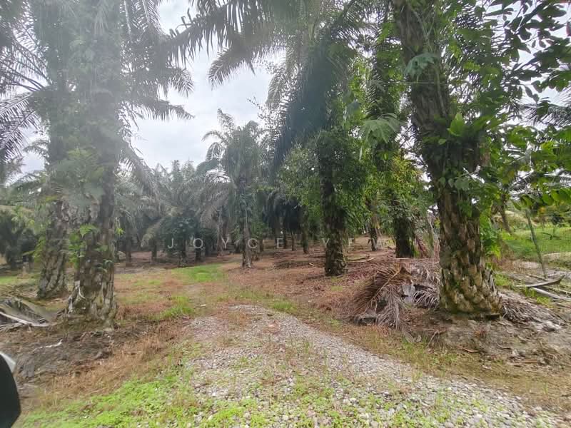 Agricultural Land for Sale in Pertang (Negeri Sembilan) - Joyce Yew - Exterior - PropertyGuru.com.my