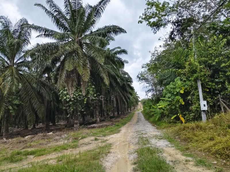 Agricultural Land for Sale in Pertang (Negeri Sembilan) - Joyce Yew - Exterior - PropertyGuru.com.my