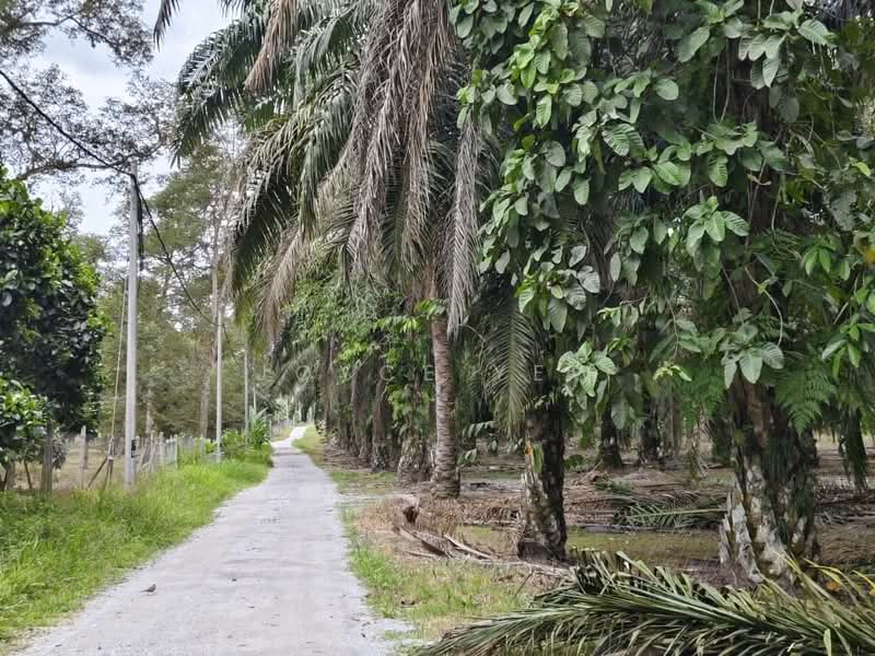 Agricultural Land for Sale in Pertang (Negeri Sembilan) - Joyce Yew - Exterior - PropertyGuru.com.my